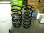 Stock MKIV 24v VR6 spring set